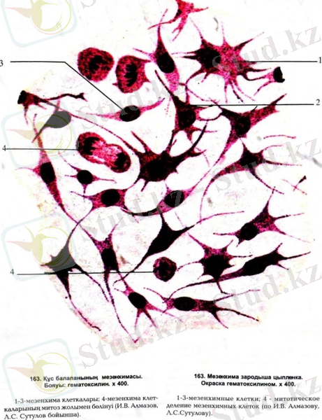 C:\Users\USER\Desktop\19.09.2020\07.11.2020\WhatsApp Image 2020-11-07 at 10.23.49.jpeg