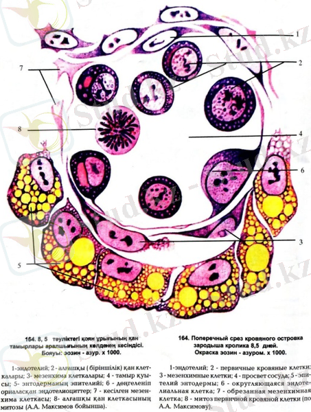 C:\Users\USER\Desktop\19.09.2020\07.11.2020\WhatsApp Image 2020-11-07 at 10.23.48.jpeg