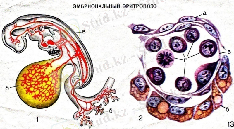 C:\Users\USER\Desktop\19.09.2020\07.11.2020\WhatsApp Image 2020-11-07 at 10.23.50 (1).jpeg