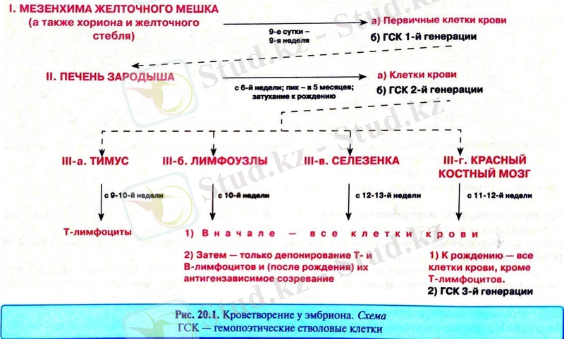 C:\Users\USER\Desktop\19.09.2020\07.11.2020\WhatsApp Image 2020-11-07 at 10.23.50.jpeg