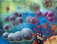 ANd9GcQTXbxZy4Zh_xxvVwgLKvLZSBSHJif03d9LXwdgaAd854OUleZC