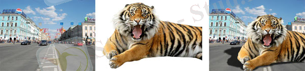 Рис. 1. Пример падающей тени