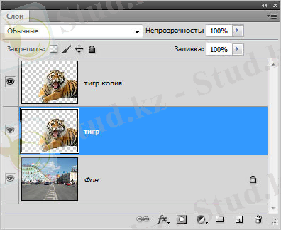 Рис. 2. Создана копия слоя с изображением тигра