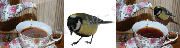 Рис. 4. Пример тени, повторяющей изгибы занавески