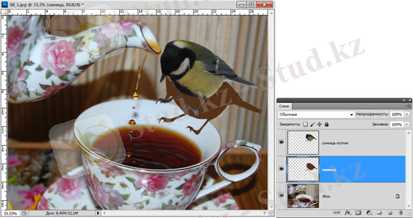 Рис. 5. Результат создания заготовки для тени синицы