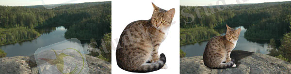 Рис. 10. Пример тени, расположенной на части фонового изображения