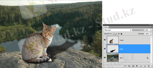 Рис. 12. Результат уменьшения непрозрачности слоя с тенью и применения к нему фильтра Размытие по Гауссу