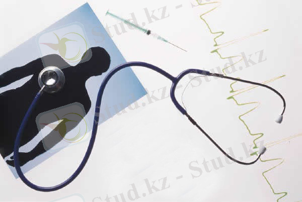 жатқызу Қазақстан Office порталы