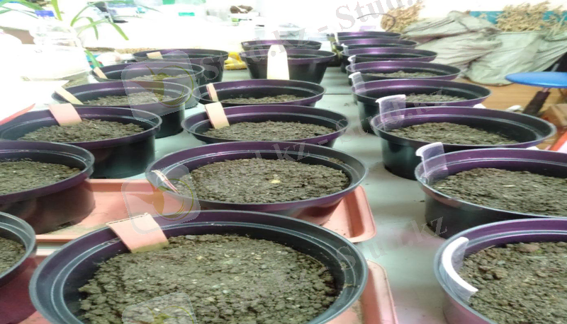 a2eb9652-425d-40d3-b172-2f5ef7b78edf