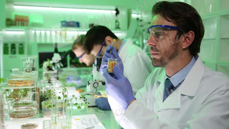 C:\Users\User\Downloads\WhatsApp Image 2022-06-03 at 19.38.37.jpeg