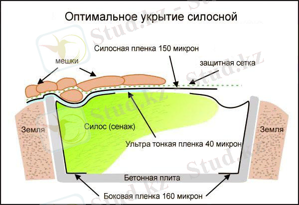 оптимальное укрытие силосной ямы