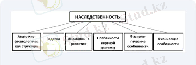 WhatsApp Image 2022-10-05 at 16.29.49.jpeg