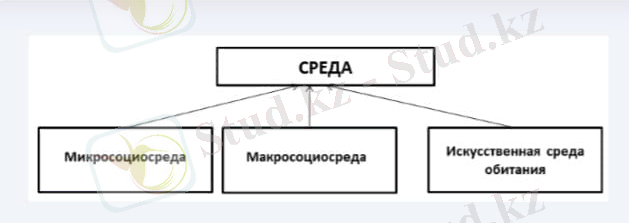 WhatsApp Image 2022-10-05 at 16.39.04.jpeg