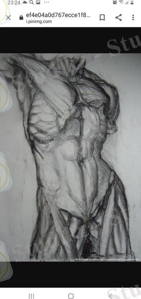 C:\Users\Алия\Desktop\Сурет 2020-2021\Новая папка\Screenshot_20200830-232443_Chrome.jpg