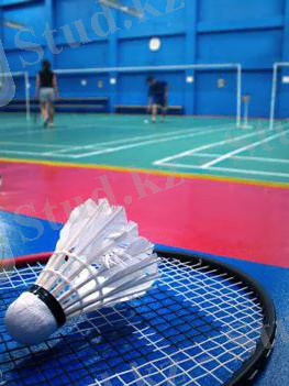 бадминтон сот