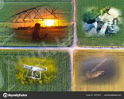 ÐÐ°ÑÑÐ¸Ð½ÐºÐ¸ Ð¿Ð¾ Ð·Ð°Ð¿ÑÐ¾ÑÑ Ð¡ÐµÐ»ÑÑÐºÐ¾ÑÐ¾Ð·ÑÐ¹ÑÑÐ²ÐµÐ½Ð½Ð°Ñ Ð±Ð¸Ð¾ÑÐµÑÐ½Ð¾Ð»Ð¾Ð³Ð¸Ñ ÐºÐ°ÑÑÐ¸Ð½ÐºÐ°