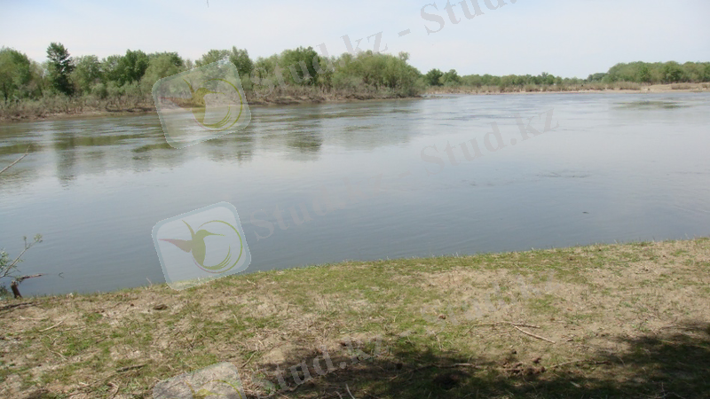Irtysh_River_landscape_in_the_Burqin_02.jpg