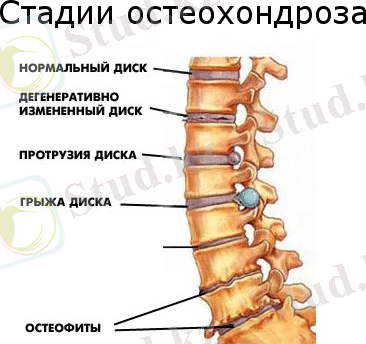 Похожее изображение