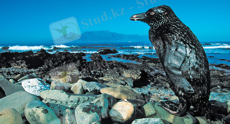 Загрязнение Земли. Ну, и что?