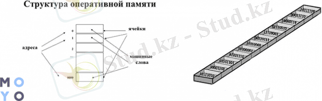 структура ОЗУ, упорядоченные ячейки памяти