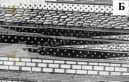 литологически экранированные ловушки нефти и газа