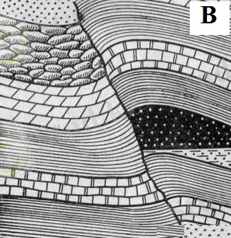 тектонически экранированные ловушки нефти и газа