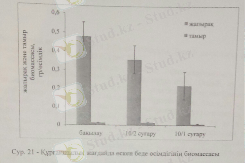 C:\Users\User\AppData\Local\Microsoft\Windows\Temporary Internet Files\Content.Word\42бет1.jpg