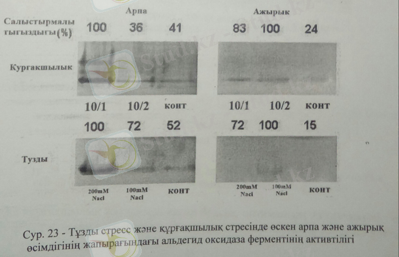 C:\Users\User\AppData\Local\Microsoft\Windows\Temporary Internet Files\Content.Word\44бет.jpg