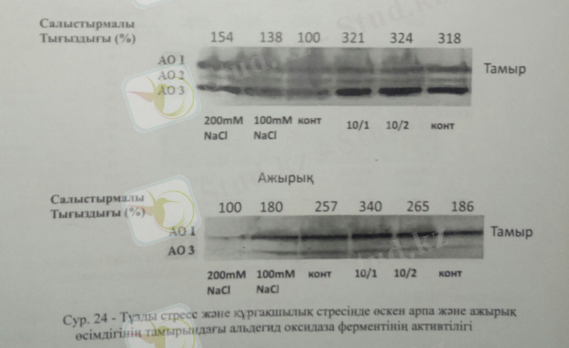 C:\Users\User\AppData\Local\Microsoft\Windows\Temporary Internet Files\Content.Word\45бет.jpg