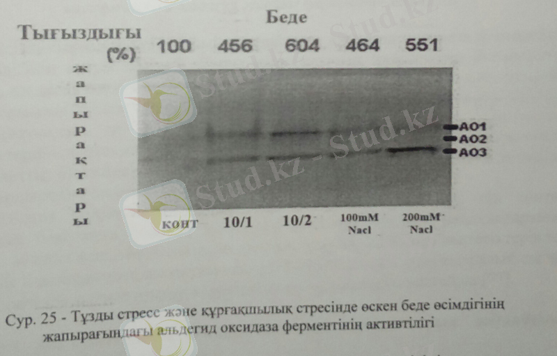 C:\Users\User\AppData\Local\Microsoft\Windows\Temporary Internet Files\Content.Word\46бет.jpg