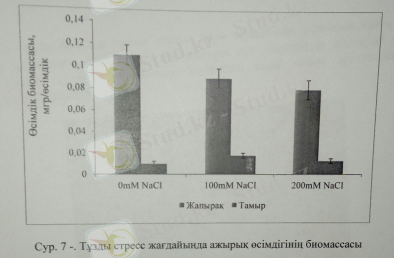 C:\Users\User\AppData\Local\Microsoft\Windows\Temporary Internet Files\Content.Word\32 бет.jpg