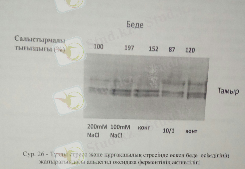 C:\Users\User\AppData\Local\Microsoft\Windows\Temporary Internet Files\Content.Word\47бет.jpg