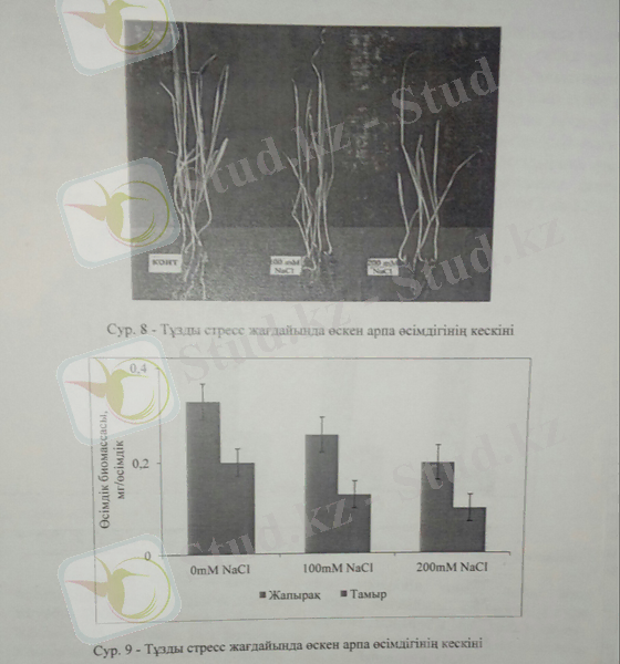 C:\Users\User\AppData\Local\Microsoft\Windows\Temporary Internet Files\Content.Word\33 бет.jpg