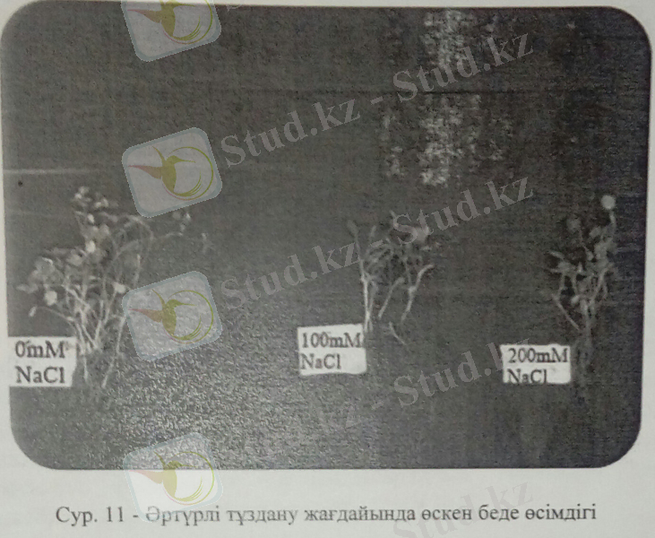 C:\Users\User\AppData\Local\Microsoft\Windows\Temporary Internet Files\Content.Word\35 бет.jpg