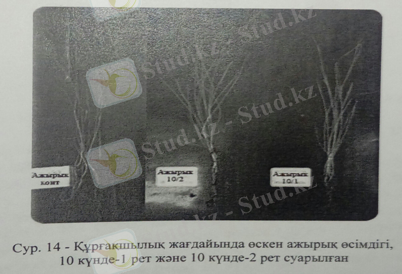 C:\Users\User\AppData\Local\Microsoft\Windows\Temporary Internet Files\Content.Word\37 бет.jpg