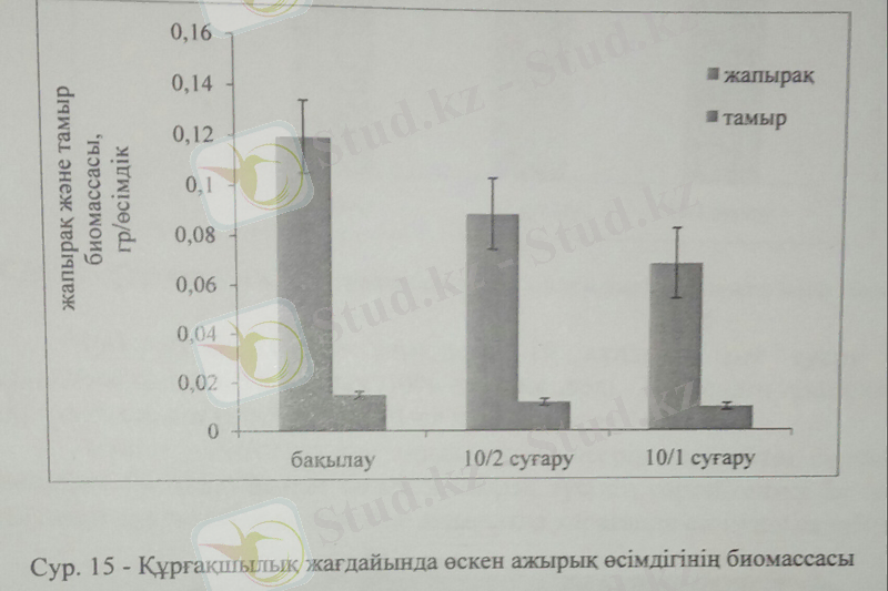 C:\Users\User\AppData\Local\Microsoft\Windows\Temporary Internet Files\Content.Word\38 бет.jpg