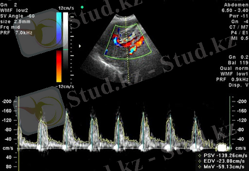 D:\SR\Pictures\би\unnamed (9).jpg