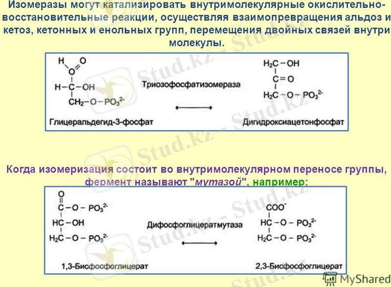 ÐÐ°ÑÑÐ¸Ð½ÐºÐ¸ Ð¿Ð¾ Ð·Ð°Ð¿ÑÐ¾ÑÑ ÐÐ·Ð¾Ð¼ÐµÑÐ°Ð·Ð° ÑÐµÐ°ÐºÑÐ¸Ñ