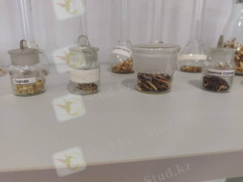 2201ae3b-9b9c-44ea-8388-395b5ee6cd82