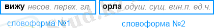 морфологический разбор слов