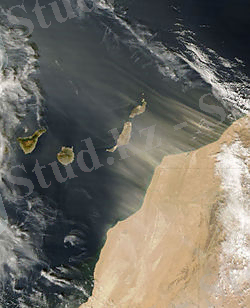 Canarydust tmo 2006315 lrg.jpg