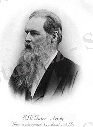 Edward Burnett Tylor.jpg