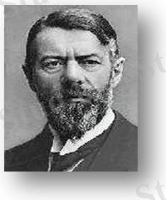 Описание: Описание: Описание: вебер