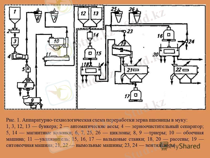 C:\Documents and Settings\User\Мои документы\Саят\slide_3.jpg