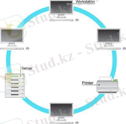 қандай топология