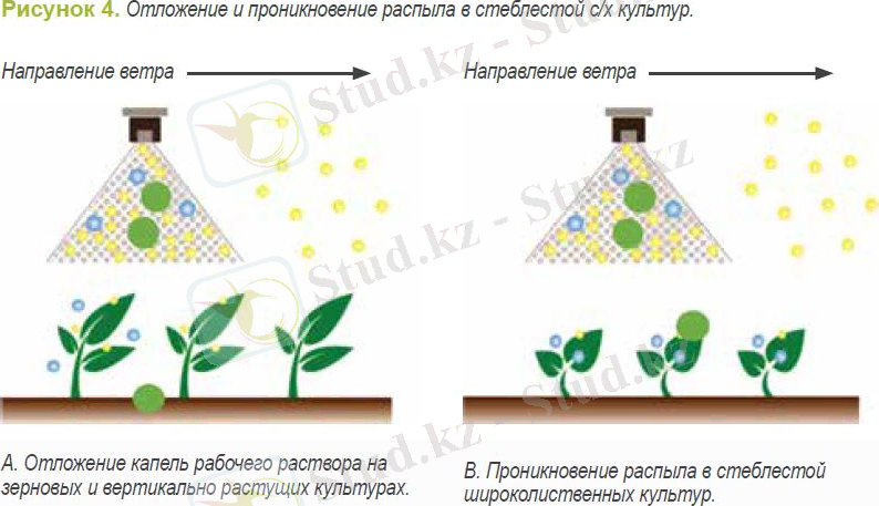 https://www.syngenta.kz/sites/g/files/zhg391/f/opryskivanie7.jpg
