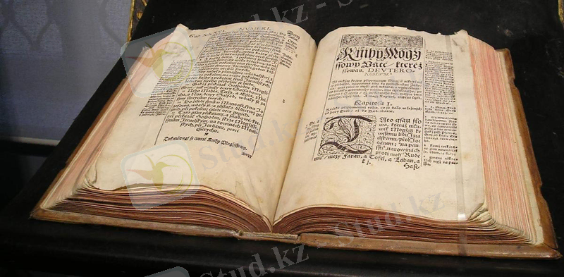 D:\Мусоры\Новая папка (4)\Педагогический-музей-6.jpg