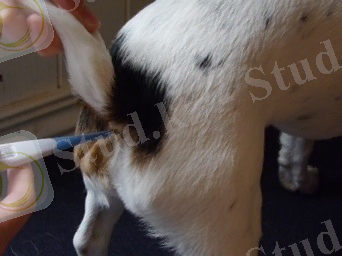 Похожее изображение