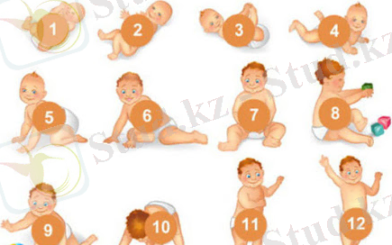 Календарь развития ребенка по месяцам - Городская поликлиника №8 г.Нур-Султан