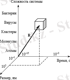 C:\Users\админ\Pictures\Screenshots\Снимок экрана (60).png